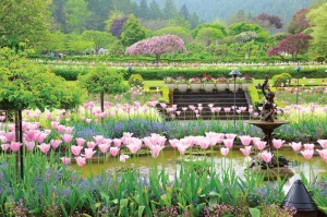 Butchart Gardens-Italian Garden