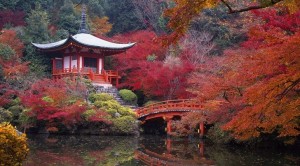 japanese-garden