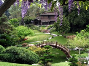 The Japanese Garden