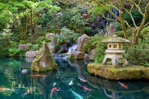 japanese-garden1